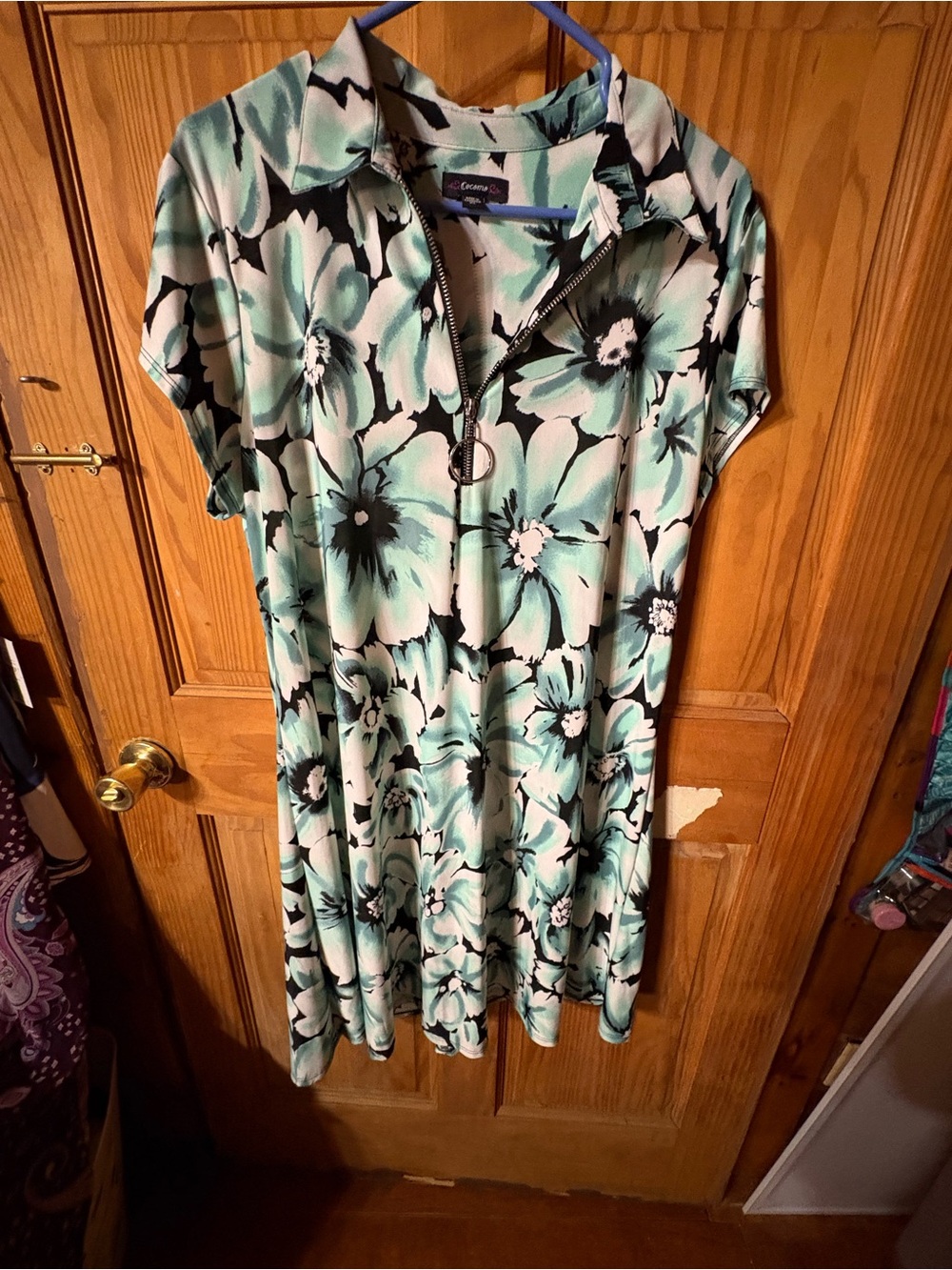 Daniel Cremieux Mint Floral Zip-Front Dress with Black Accents